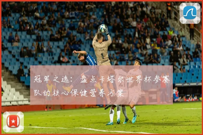 冠军之选：盘点卡塔尔世界杯参赛队的核心保健营养方案