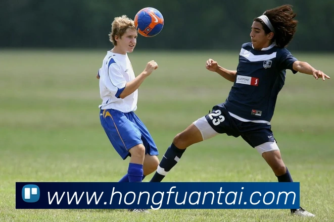 多媒体互动体验